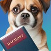 Регистрация домашних животных с 1 января 2025 г.